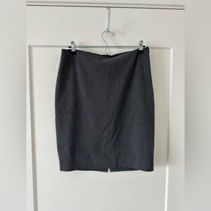Express Pencil Skirt